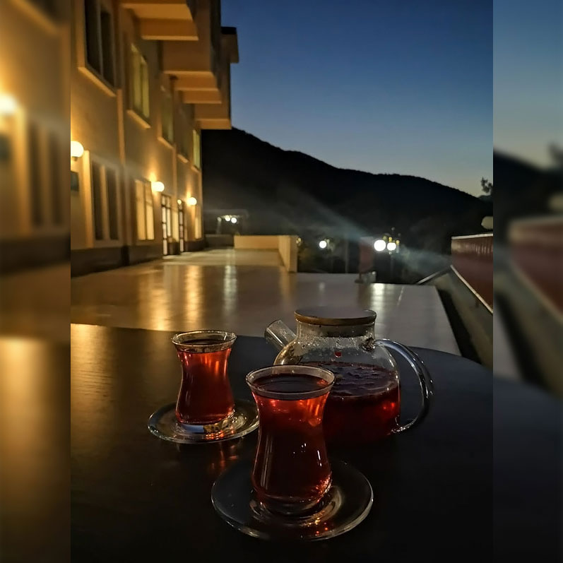 Треккинг в Ингушетии (всё включено). (11/108)