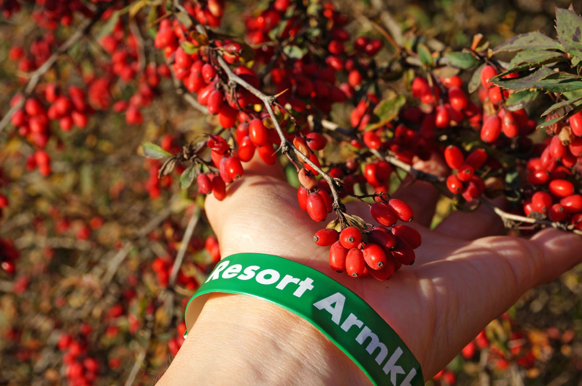 Треккинг в Ингушетии (всё включено). (13/108)