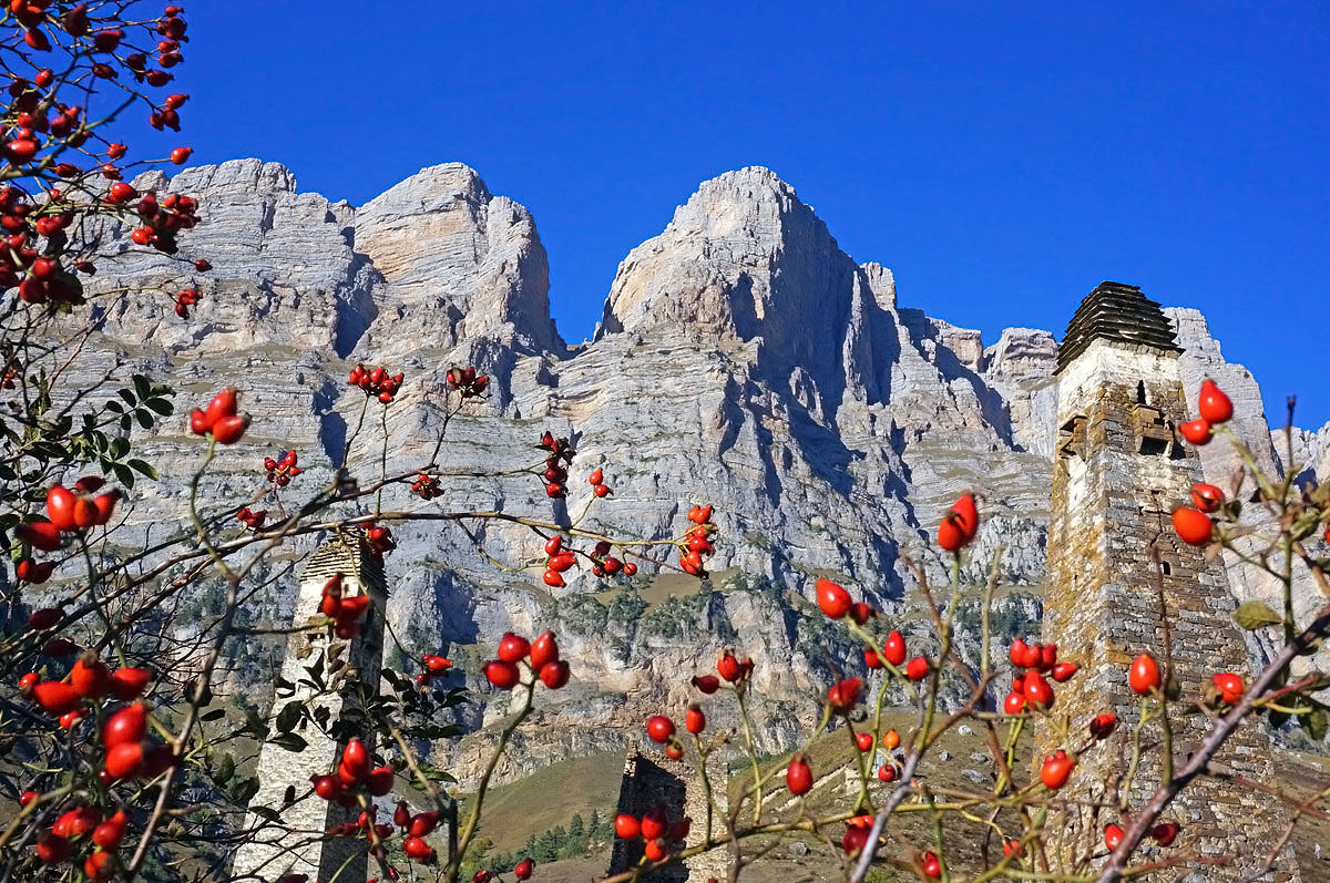 Треккинг в Ингушетии (всё включено). (16/108)
