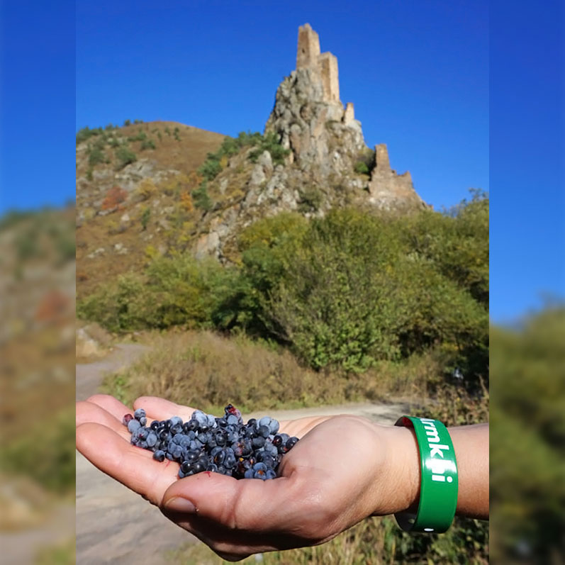 Треккинг в Ингушетии (всё включено). (10/108)