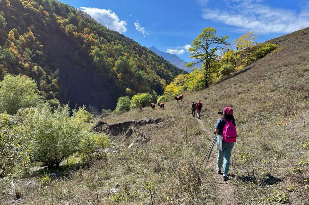 Треккинг в Ингушетии (всё включено). (22/108)