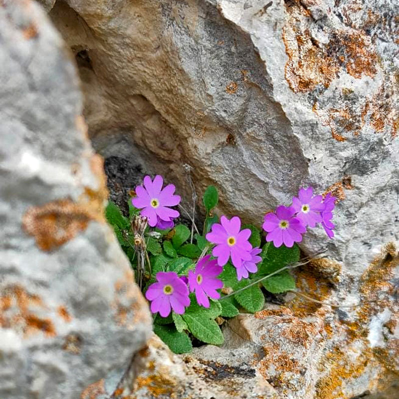 Треккинг в Ингушетии (всё включено). (85/108)