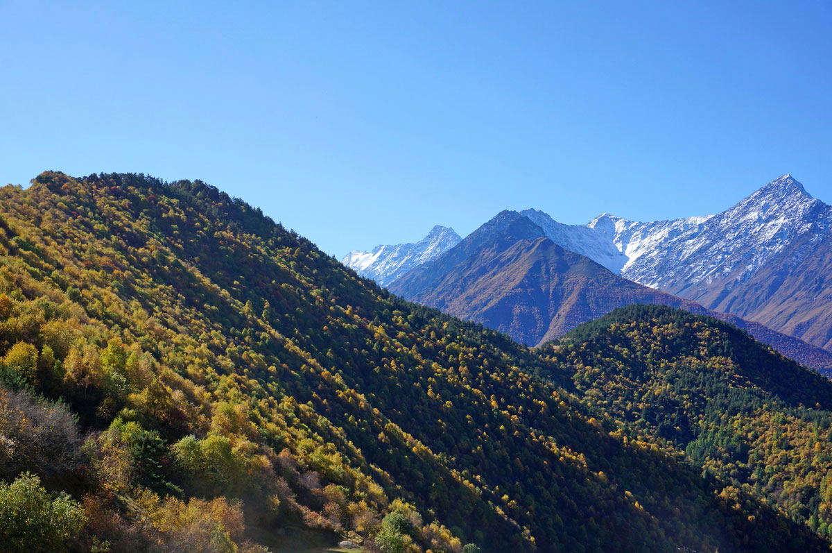 Треккинг в Ингушетии (всё включено). (39/108)