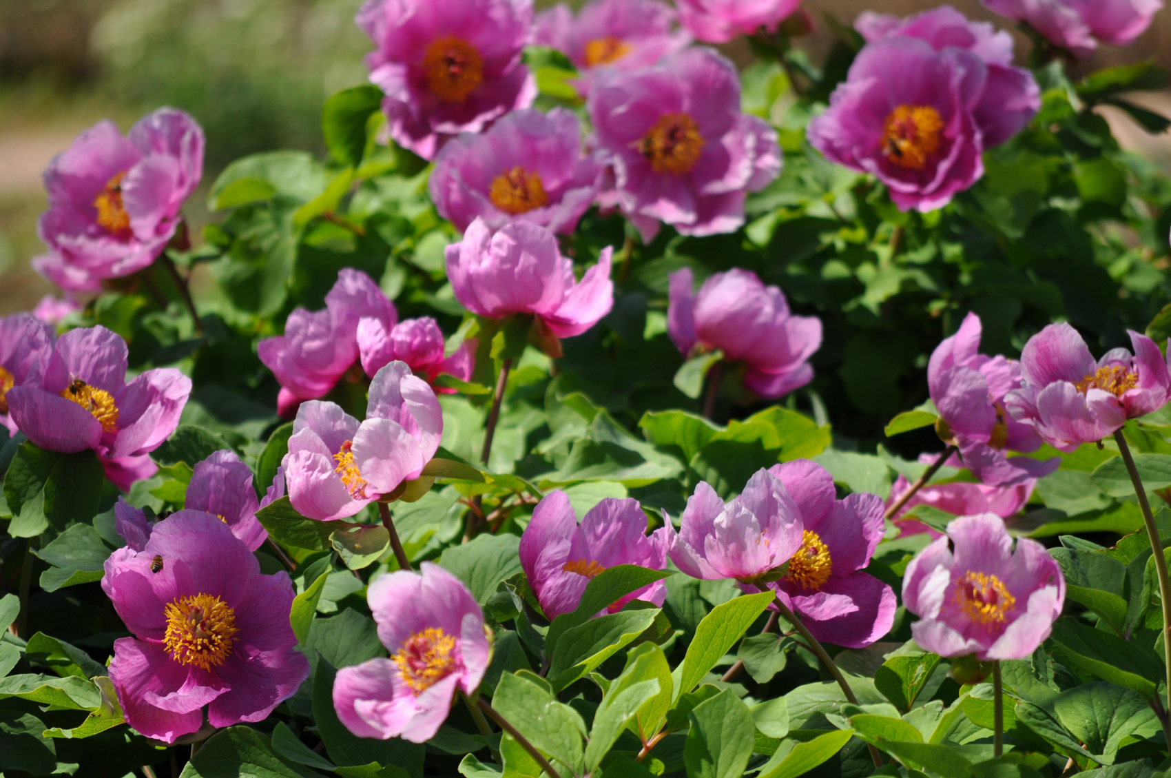 Трекинг-тур Майские праздники в Крыму (7/29)