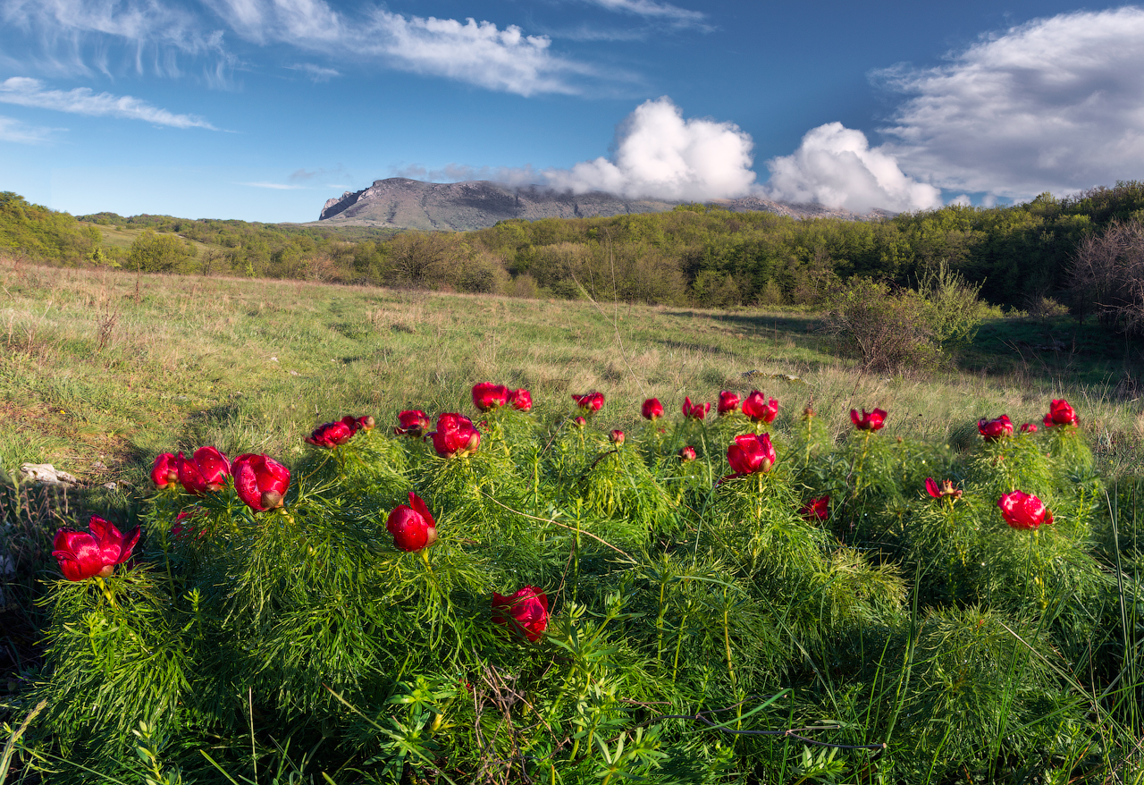 Трекинг-тур Майские праздники в Крыму (12/29)