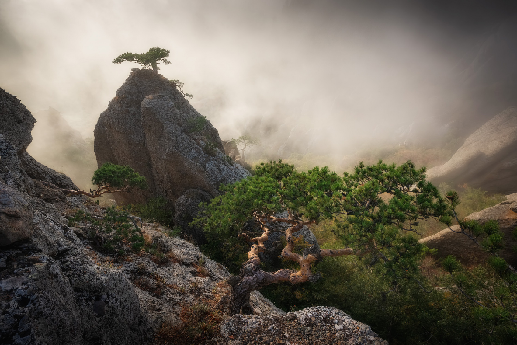 Трекинг-тур Майские праздники в Крыму (11/29)