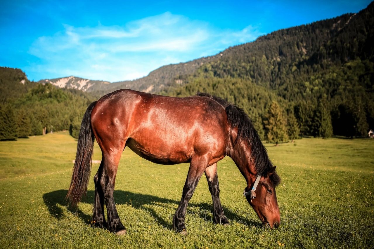 Алтай. Шавлинские озёра. Перезагрузка. (4/69)