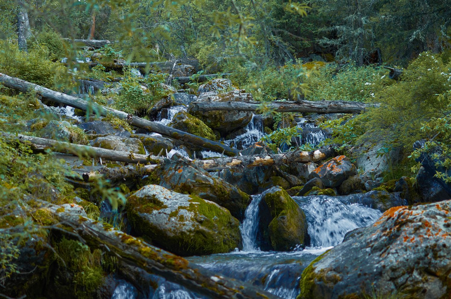 Алтай. Шавлинские озёра. Перезагрузка. (33/69)