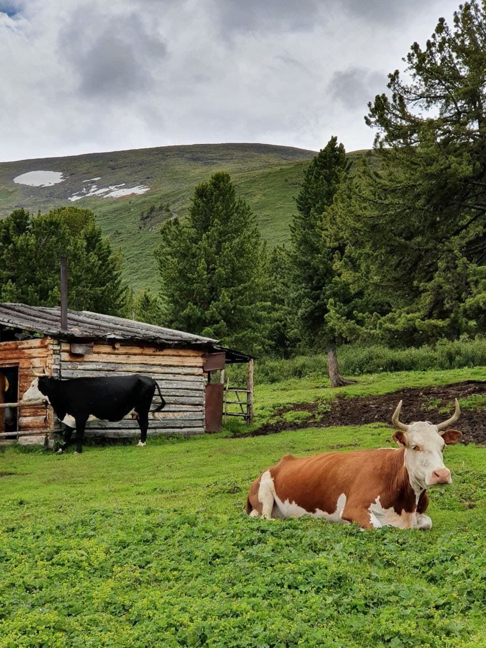 Алтай. Шавлинские озёра. Перезагрузка. (20/69)