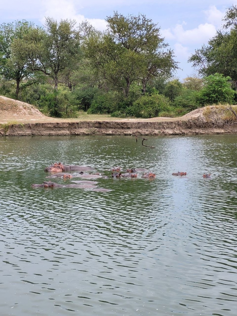 Танзания и Занзибар (34/68)