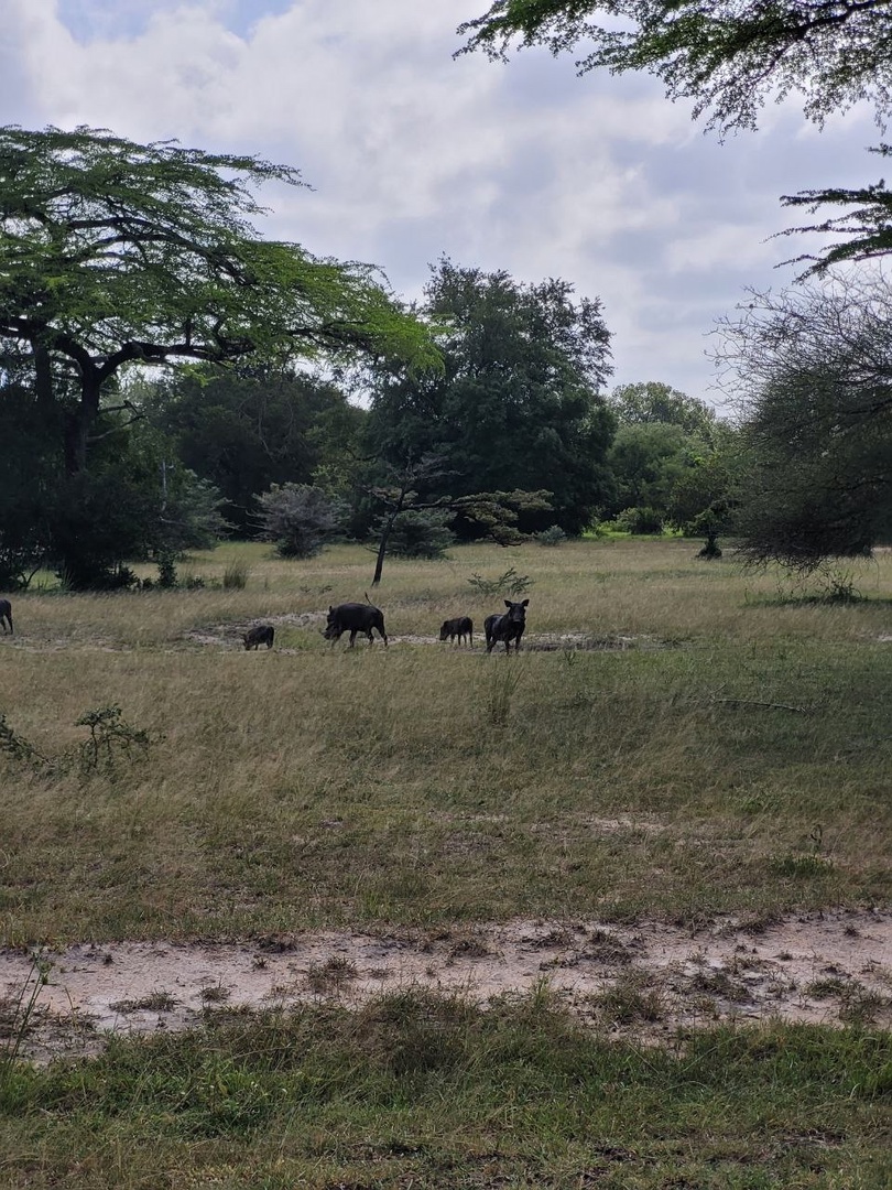 Танзания и Занзибар (37/68)