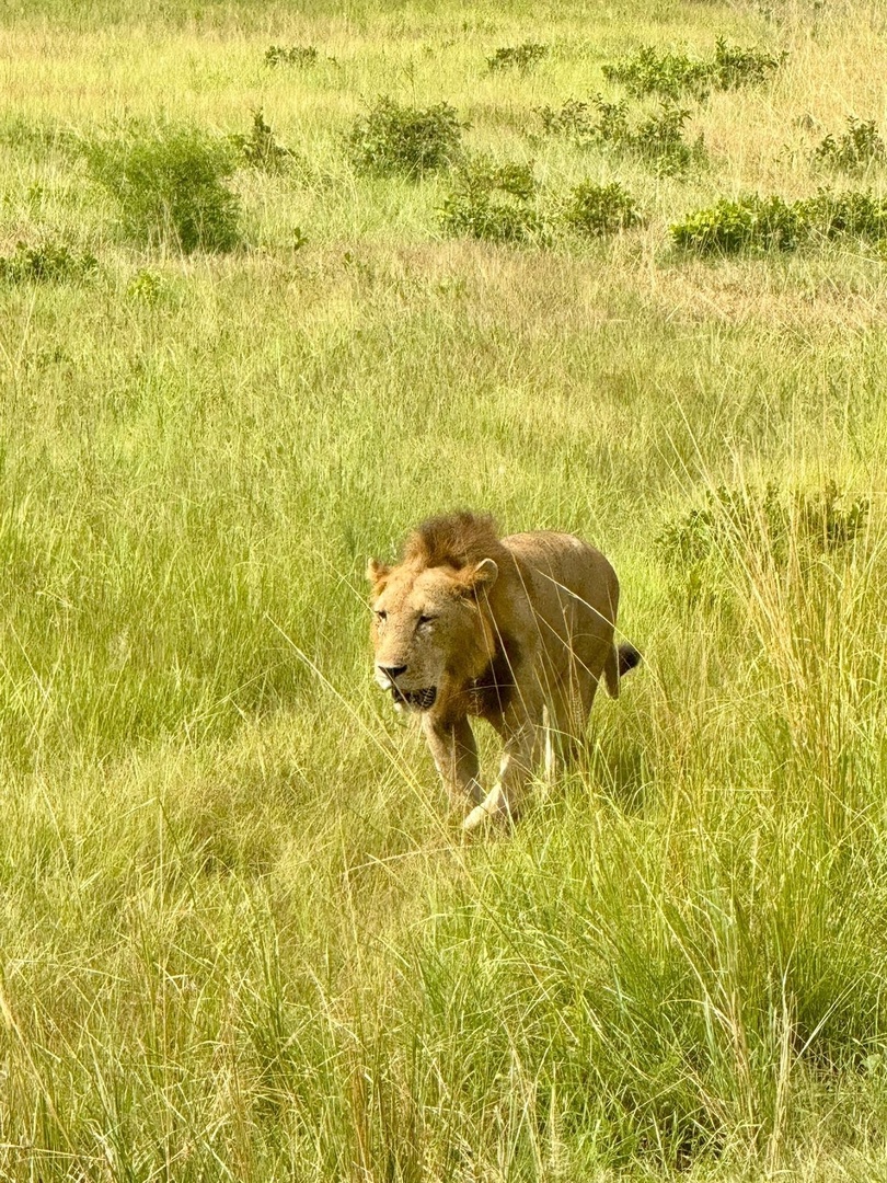 Танзания и Занзибар (29/68)