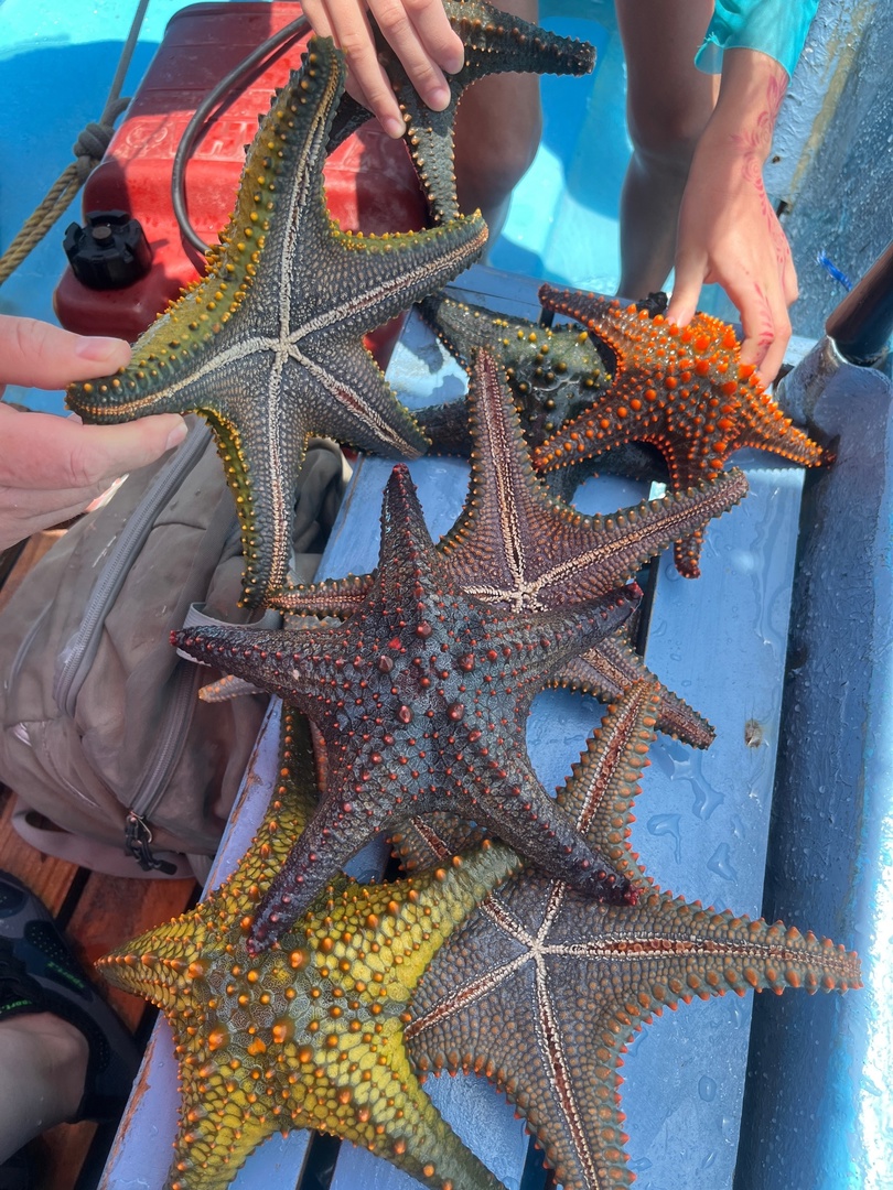 Танзания и Занзибар (19/68)