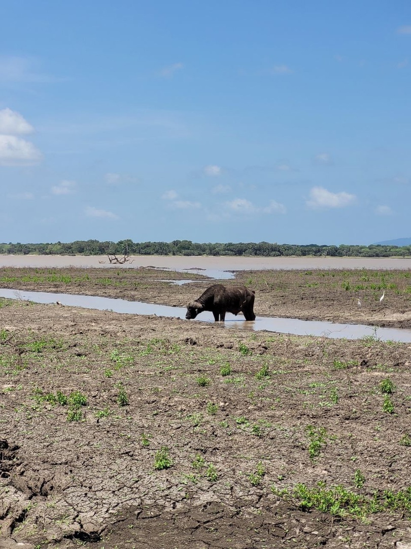 Танзания и Занзибар (33/68)