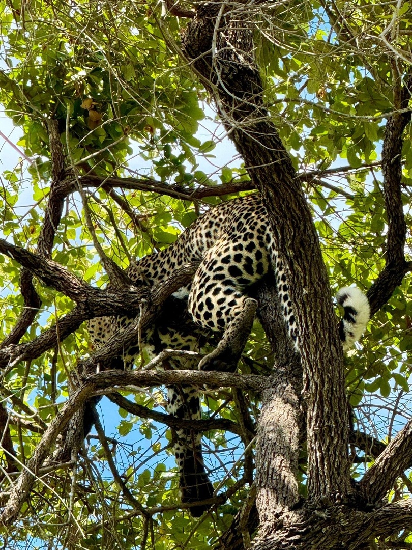 Танзания и Занзибар (30/68)