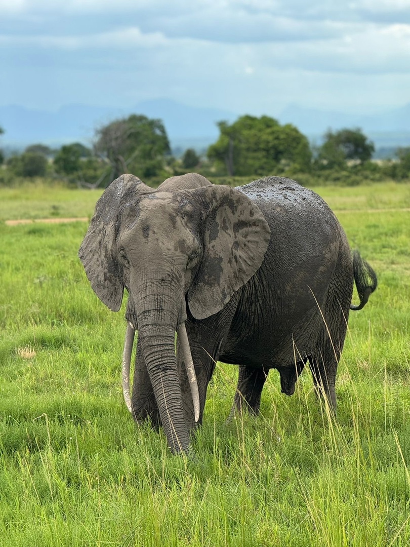 Танзания и Занзибар (32/68)