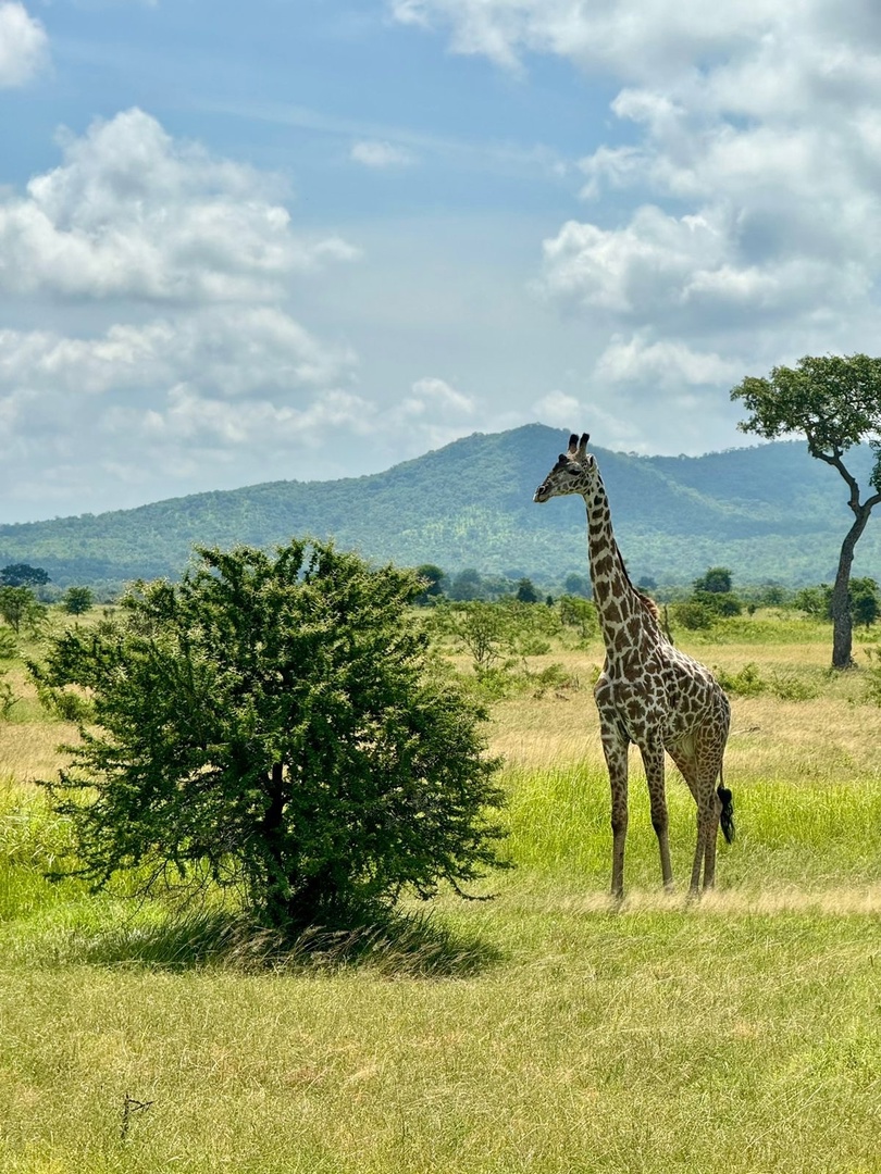 Танзания и Занзибар (31/68)