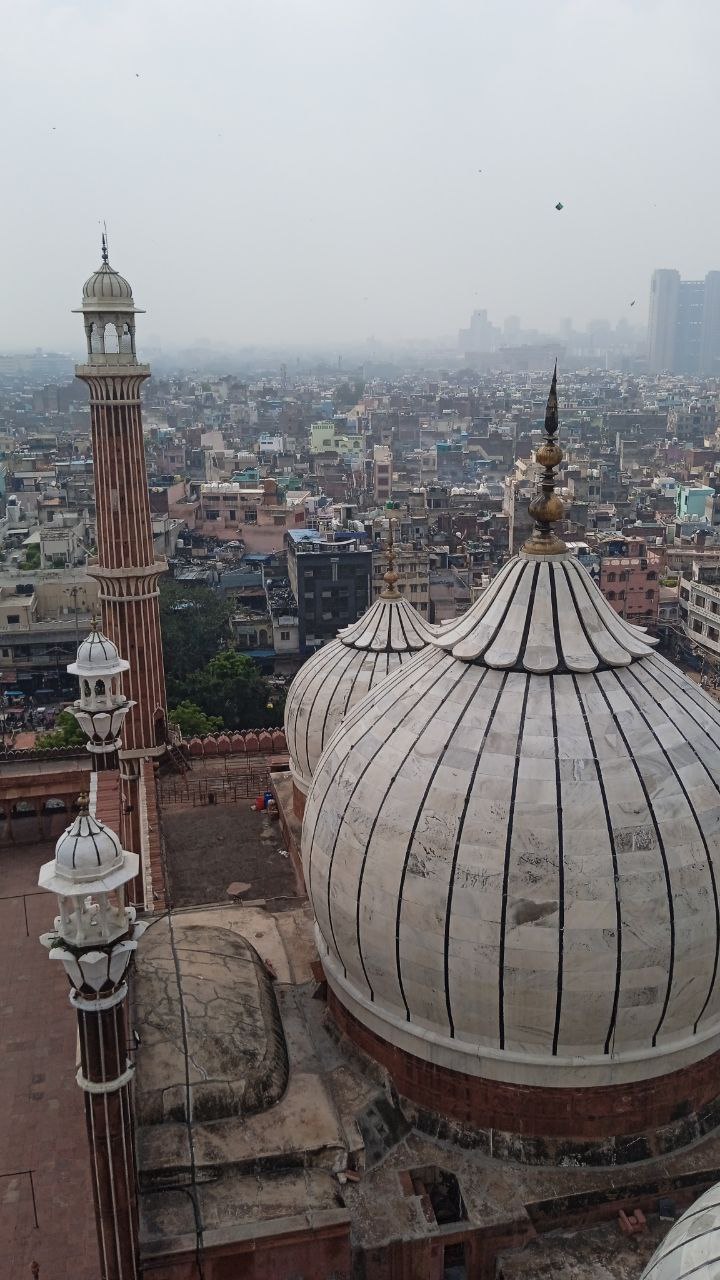 Индия: от махараджей до трущоб... (27/51)