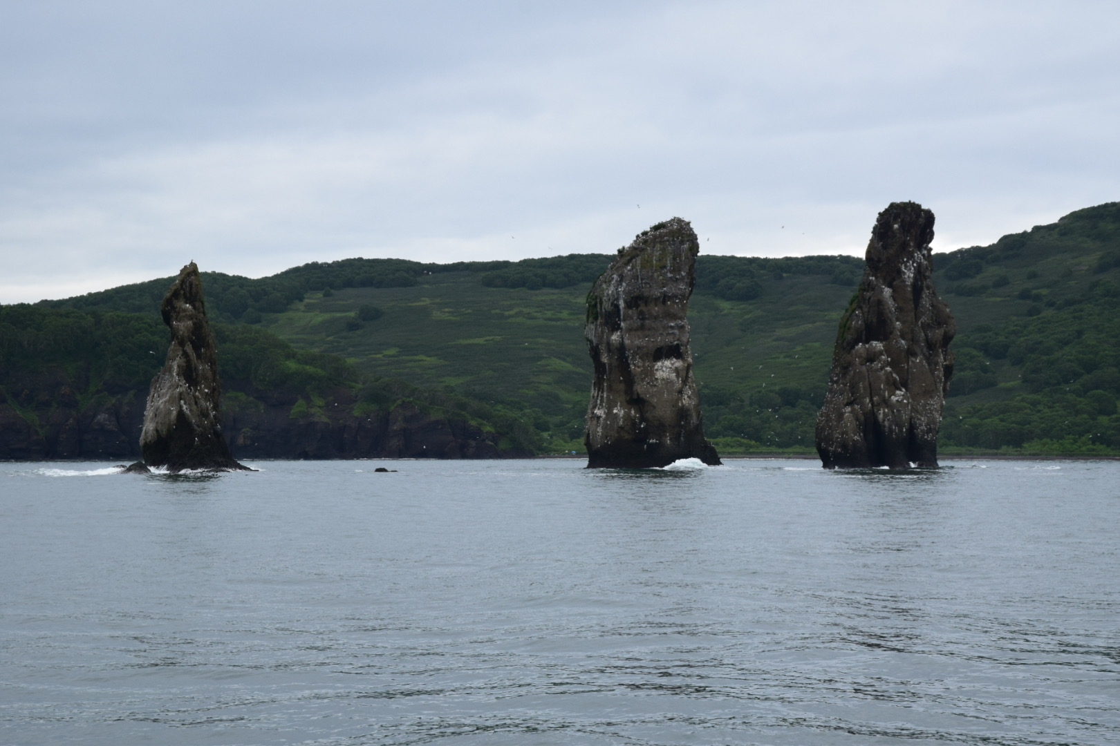 Спокойная Камчатка (9/33)