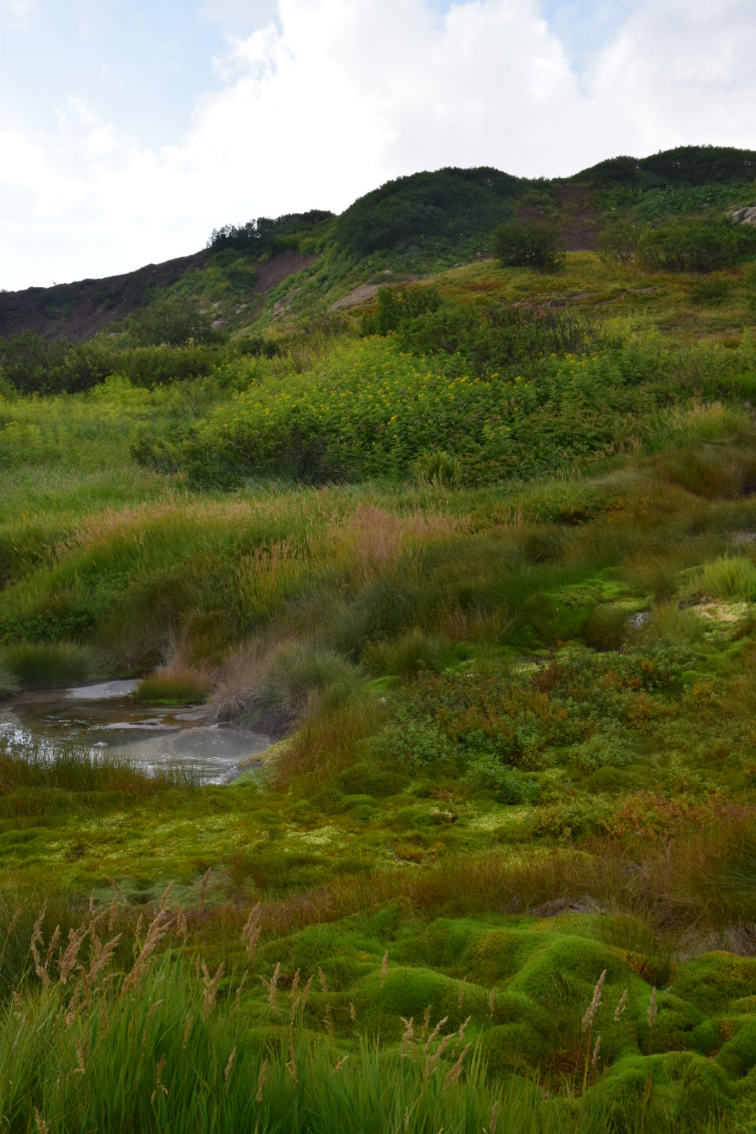 Спокойная Камчатка (15/33)