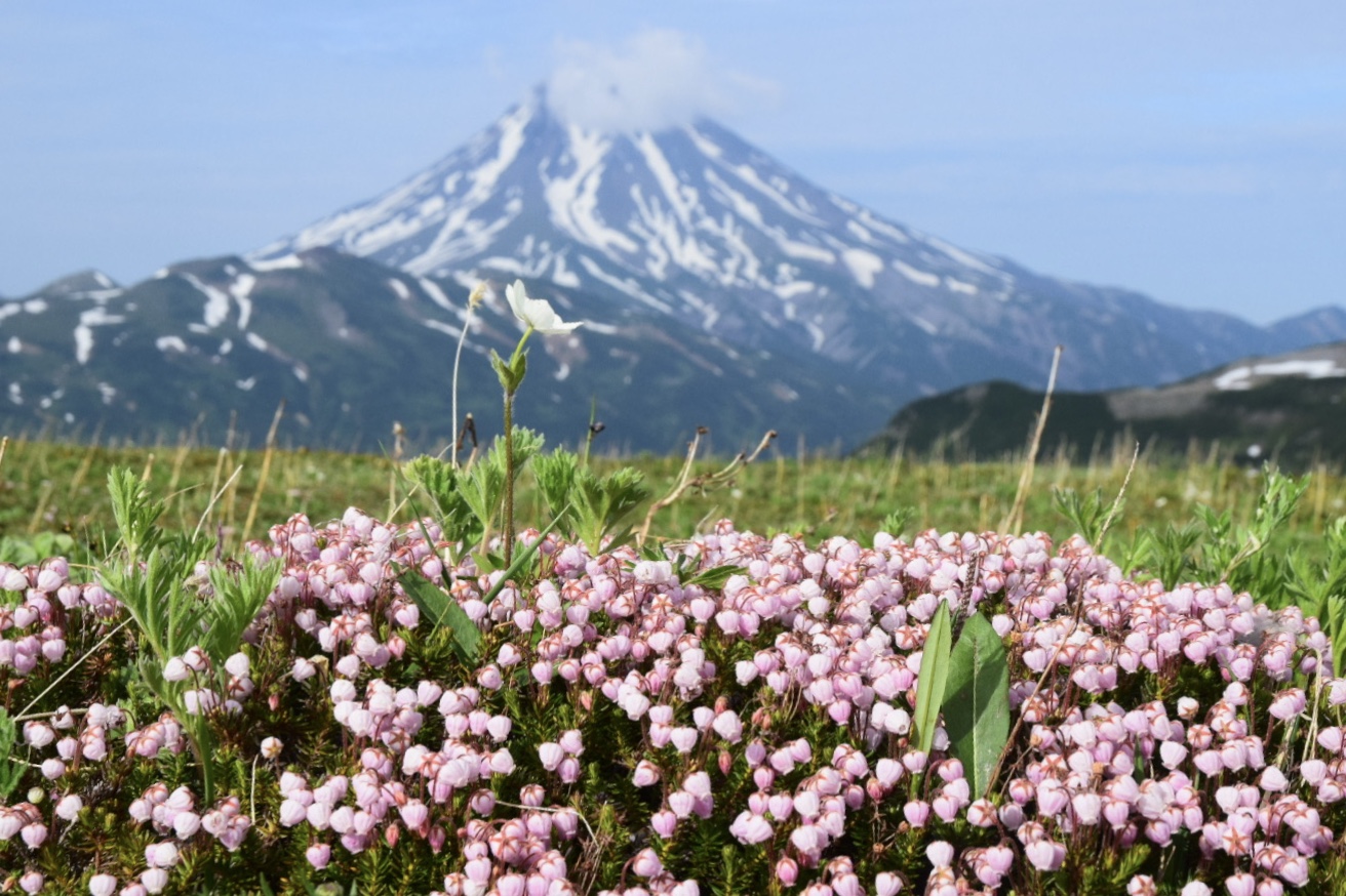 Спокойная Камчатка (3/33)
