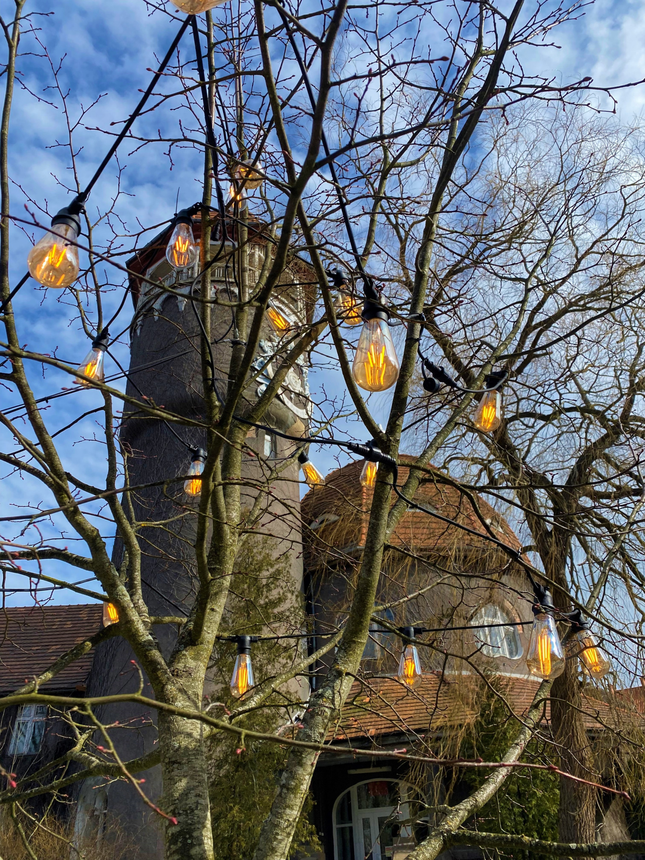 Комбо: Калининград + Светлогорск + 3 экскурсии (17/35)