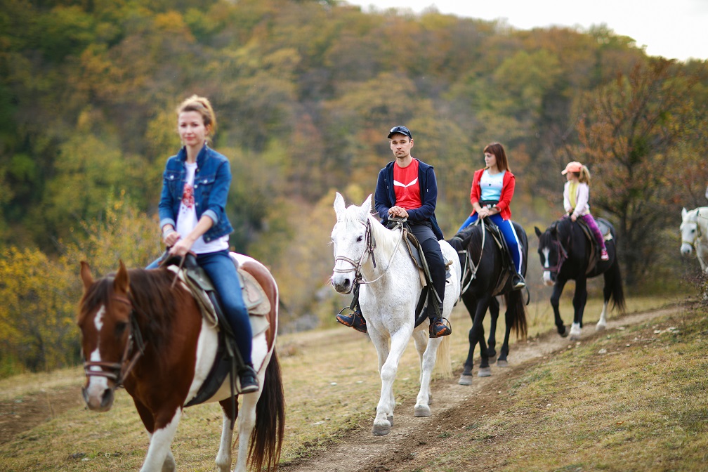 Калейдоскоп приключений (12/53)