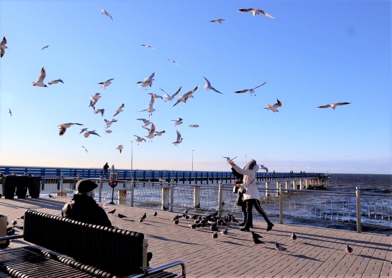 Дышать морем: уединение в Светлогорске + 3 экскурсии (4/34)