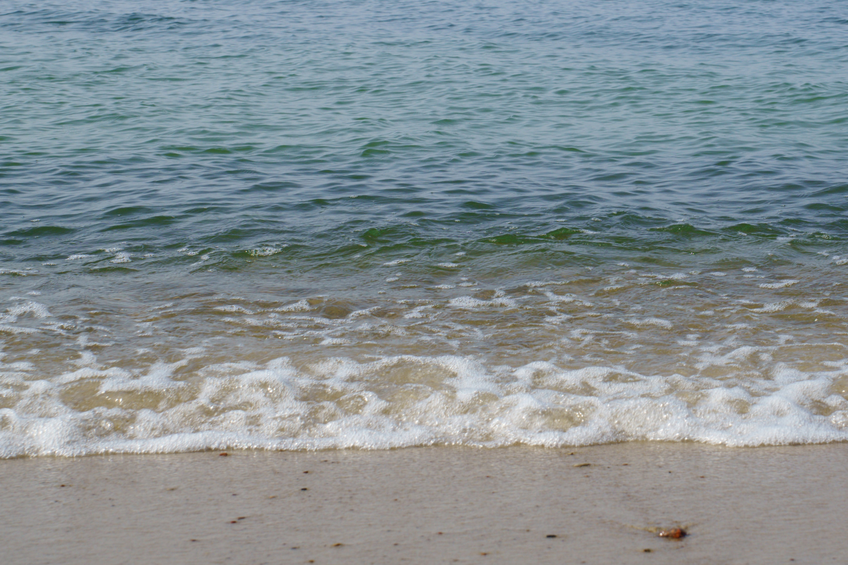 Дышать морем: уединение в Светлогорске + 3 экскурсии (10/34)