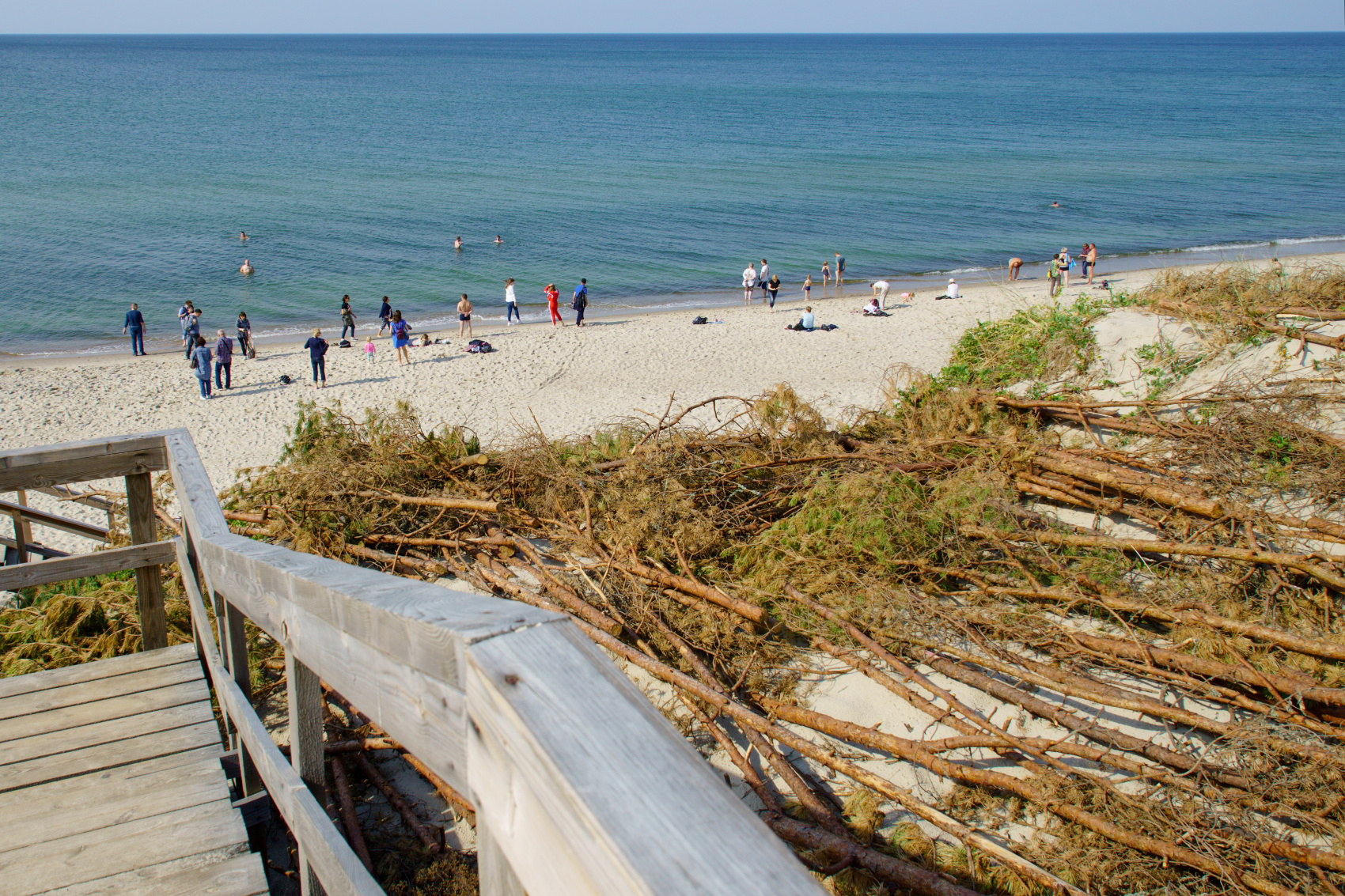Дышать морем: уединение в Светлогорске + 3 экскурсии (2/34)
