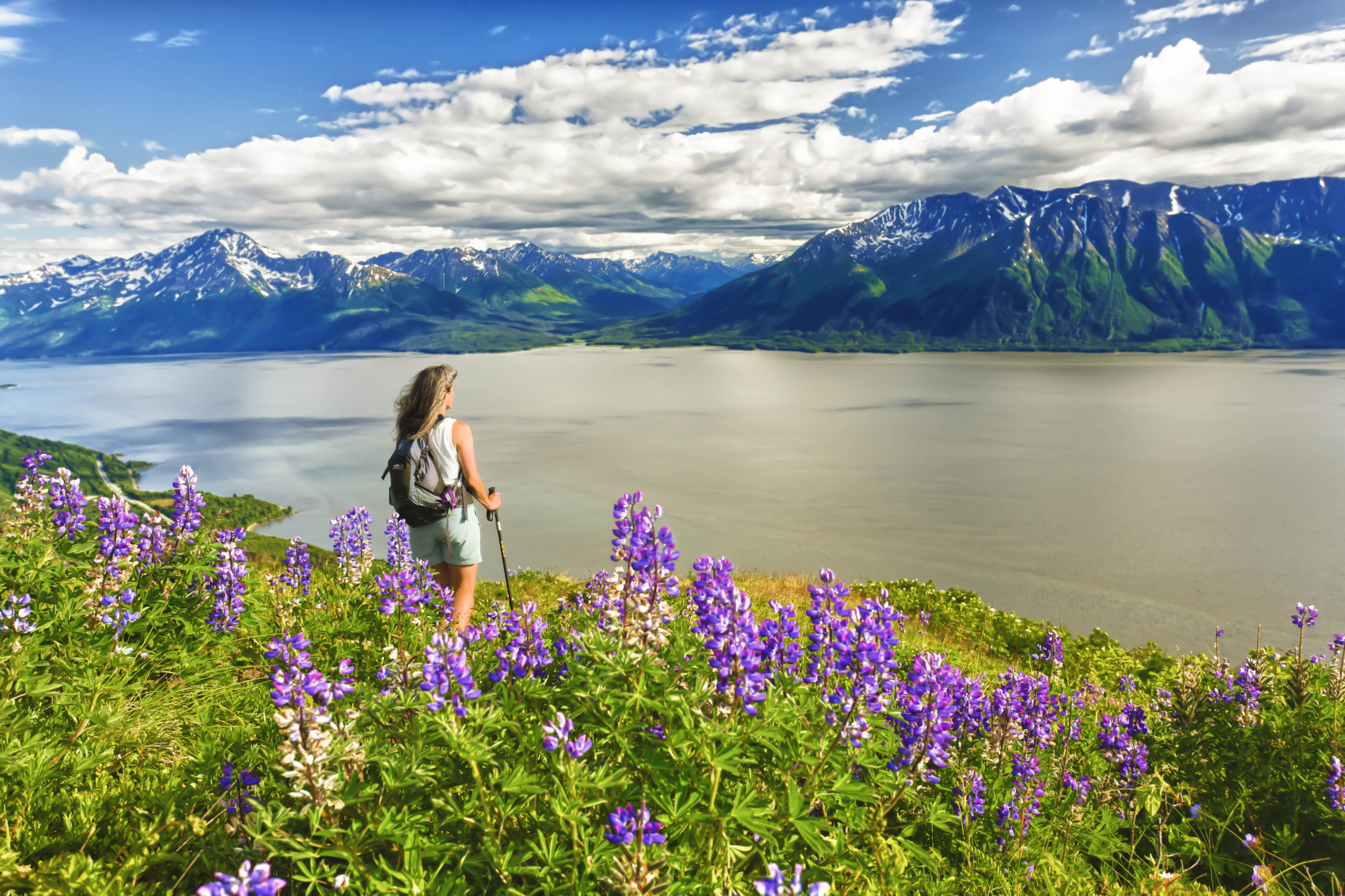 Летняя Аляска (16/43)