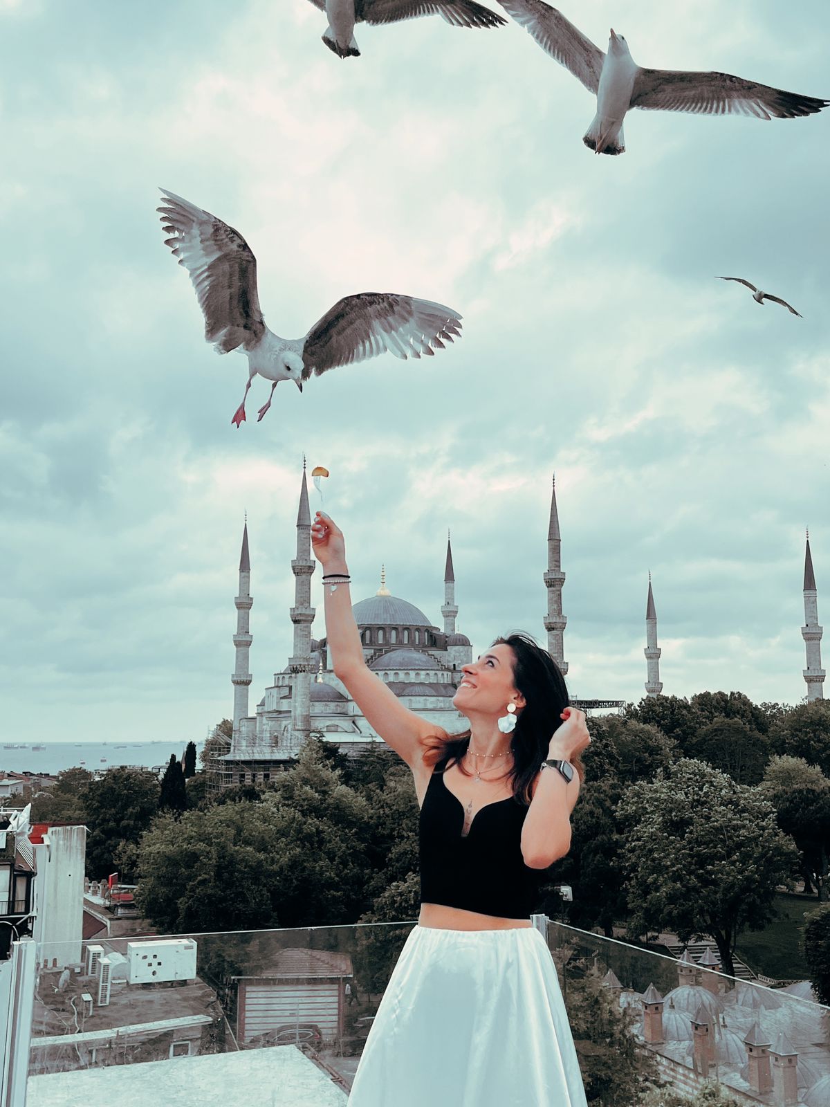 Стамбульские каникулы (29/44)