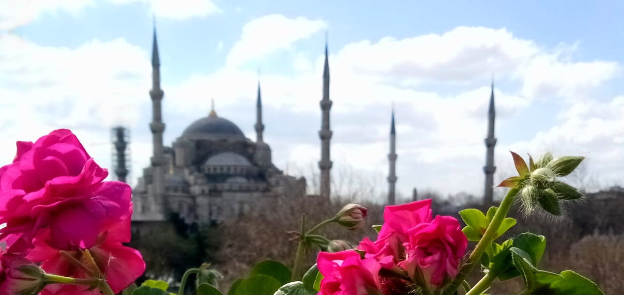 Стамбульские каникулы (16/44)