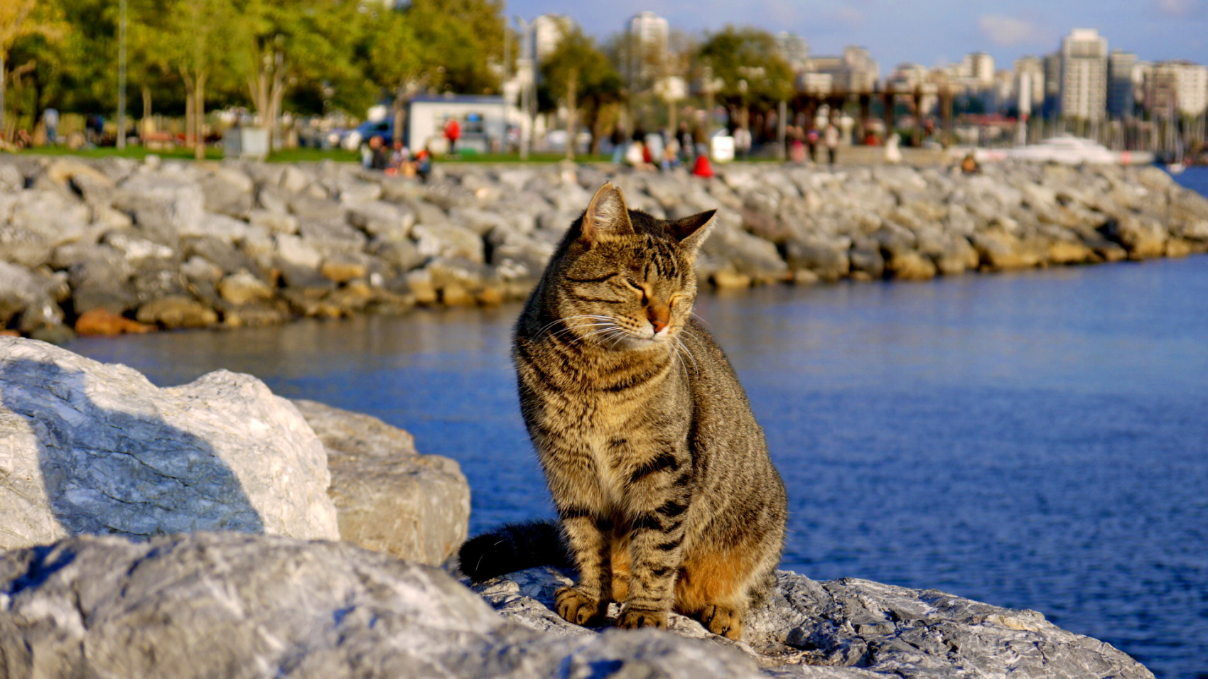 Стамбульские каникулы (5/44)