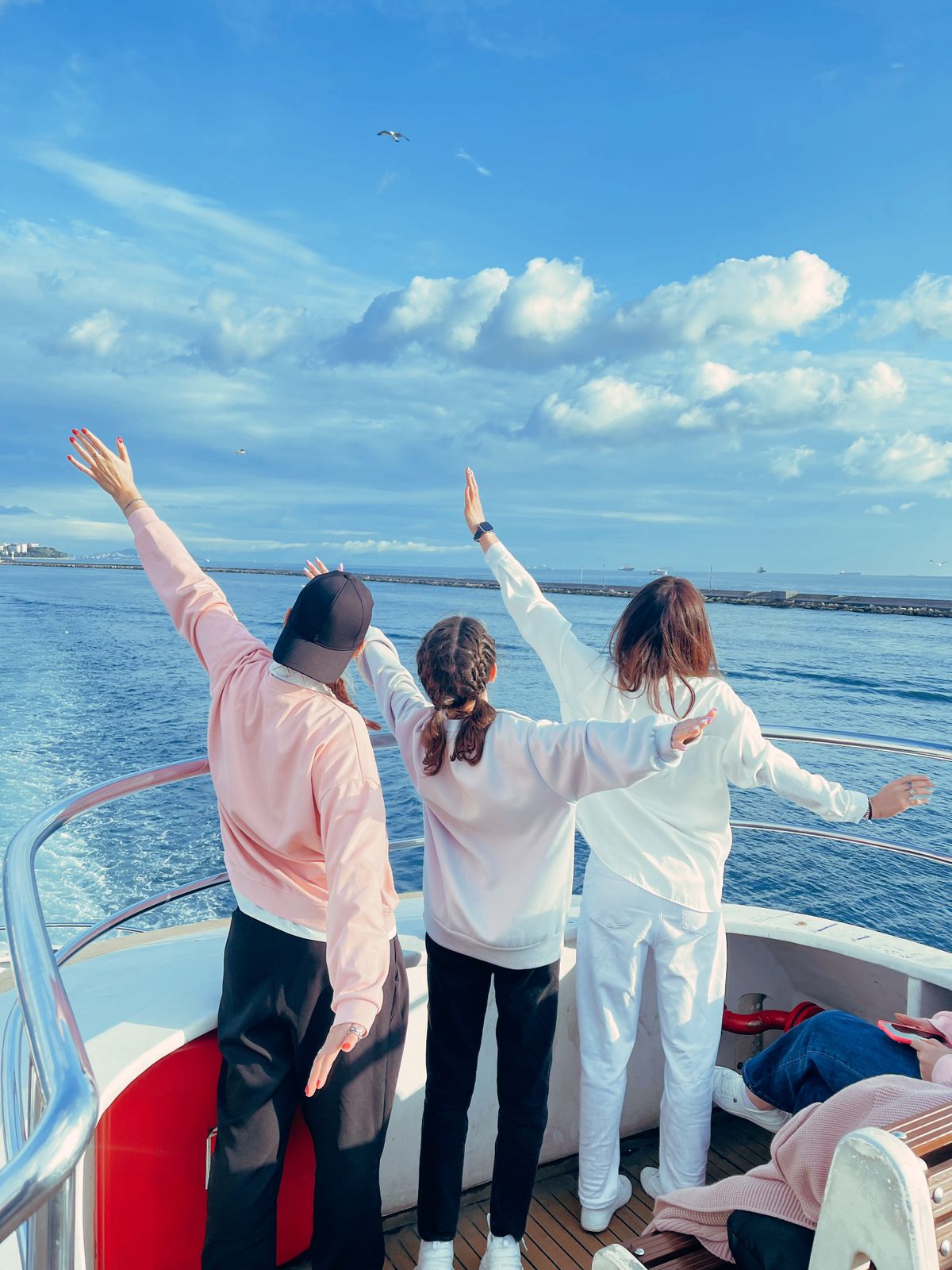 Стамбульские каникулы (2/44)