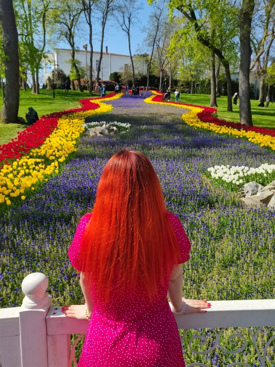 Стамбульские каникулы (20/44)