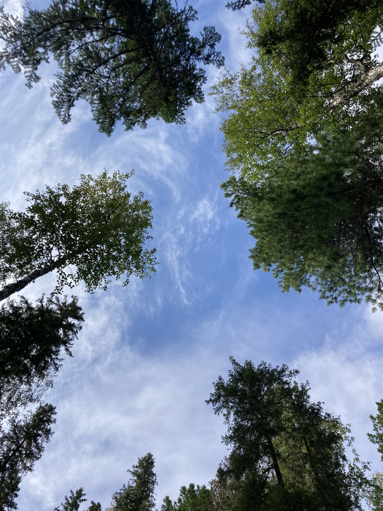 Маньпупунер и перевал Дятлова: поход с вертолетом (18/48)