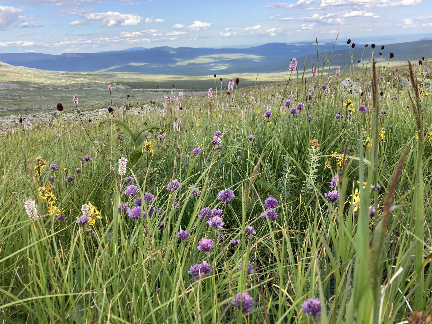 Маньпупунер и перевал Дятлова: поход с вертолетом (14/48)