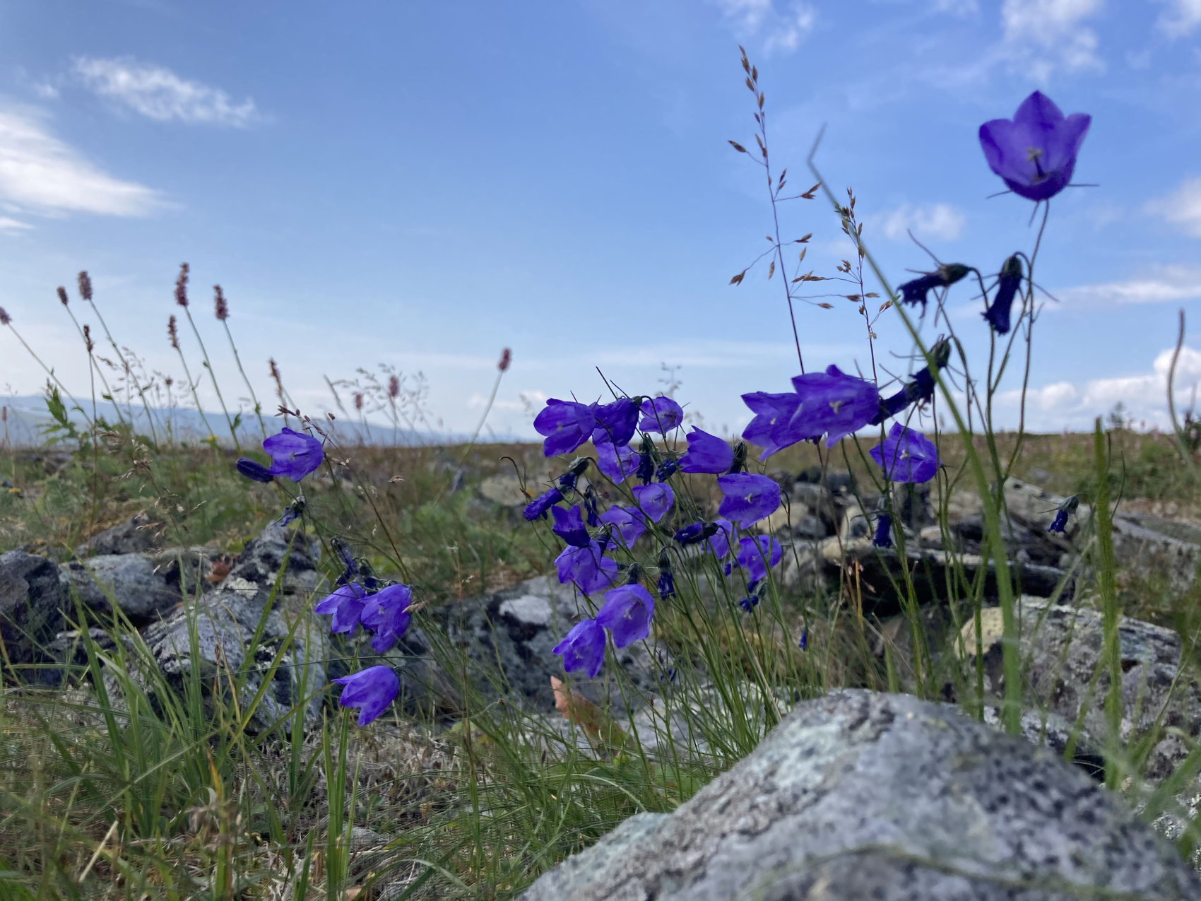 Маньпупунер и перевал Дятлова: поход с вертолетом (10/48)