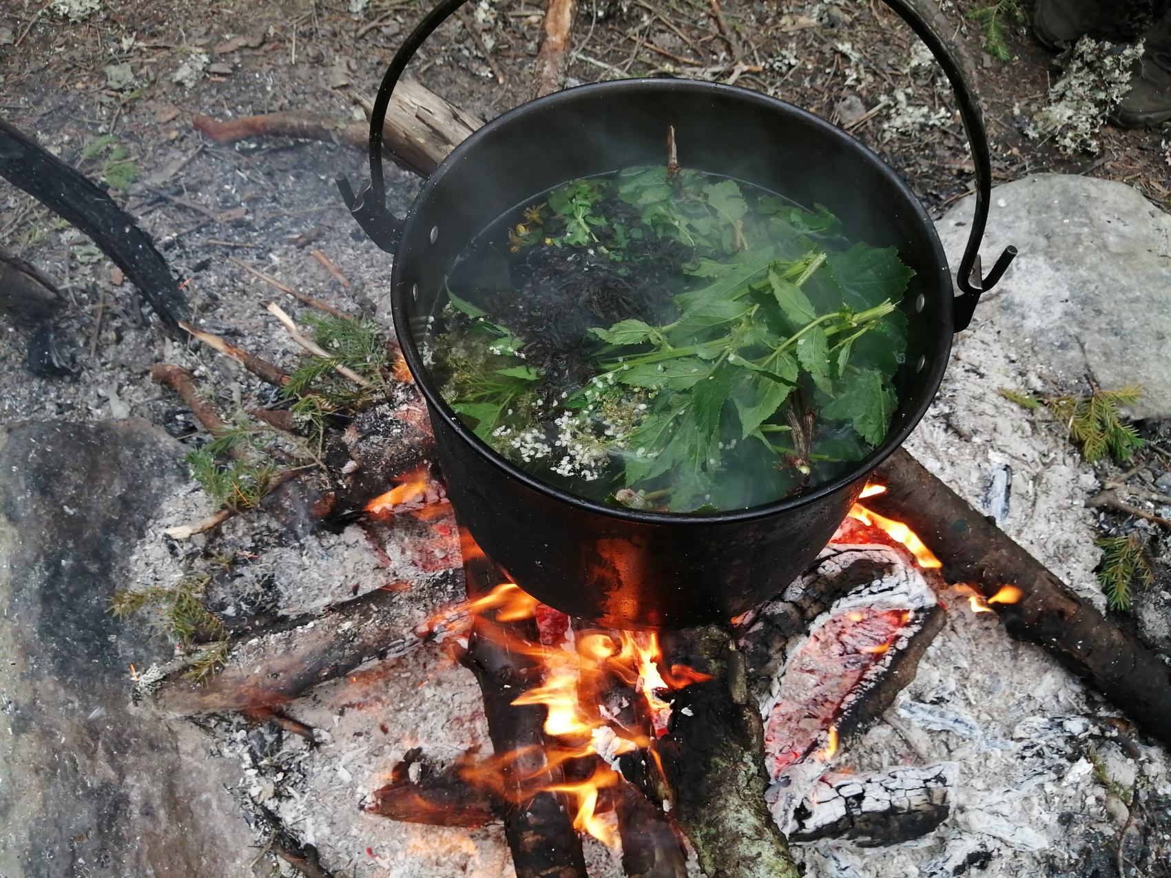 Маньпупунер и перевал Дятлова: поход с вертолетом (11/48)