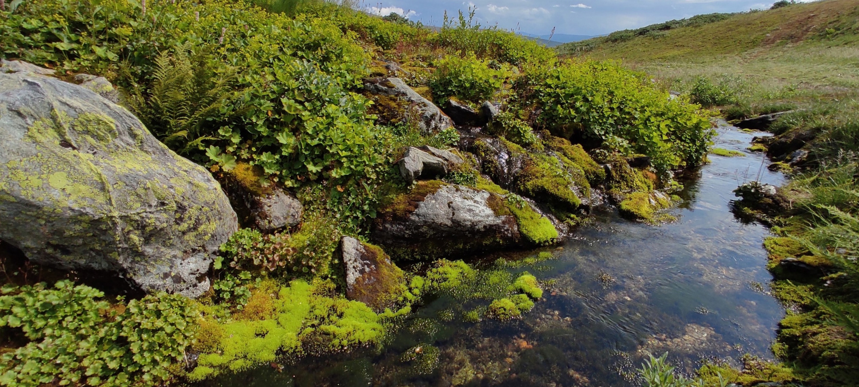 Маньпупунер и перевал Дятлова: поход с вертолетом (15/48)