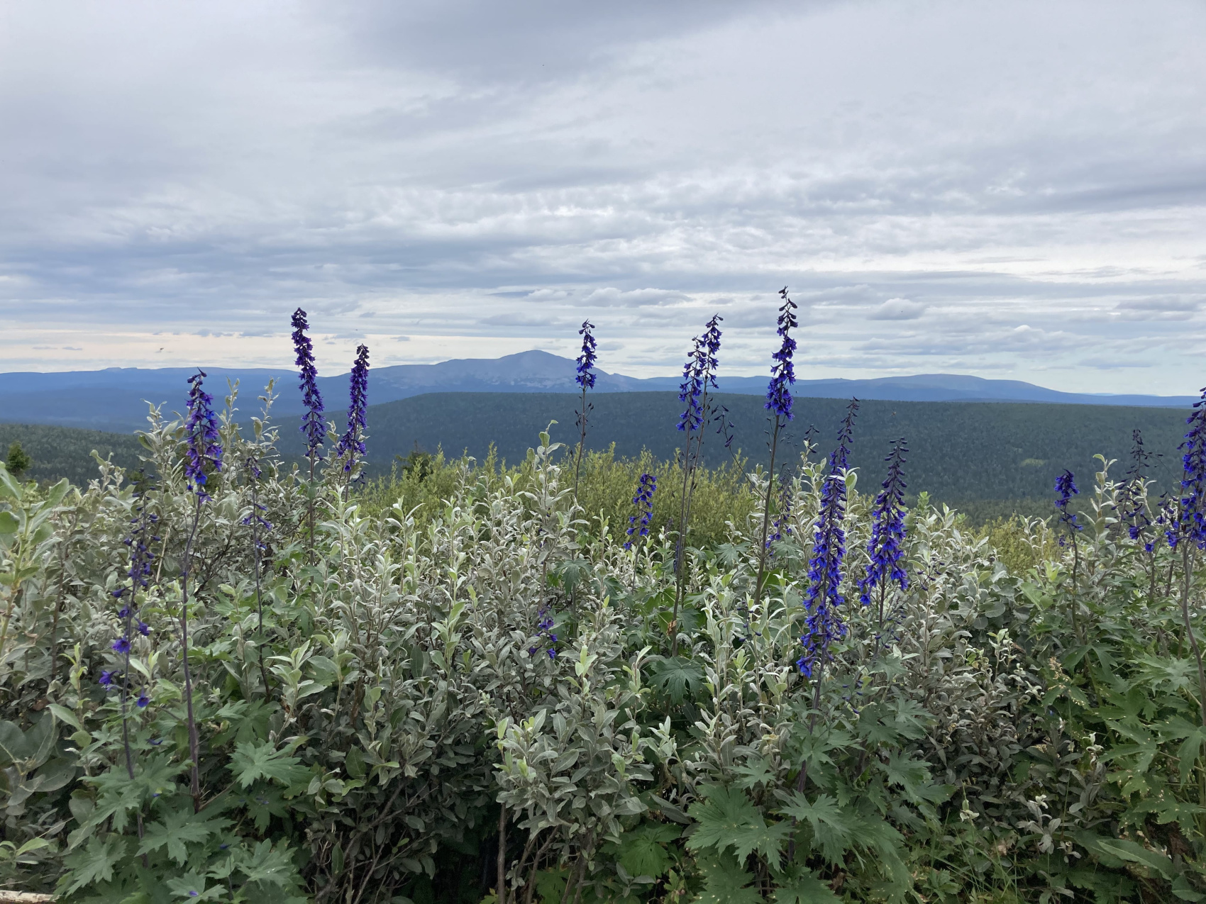 Маньпупунер и перевал Дятлова: поход с вертолетом (12/48)