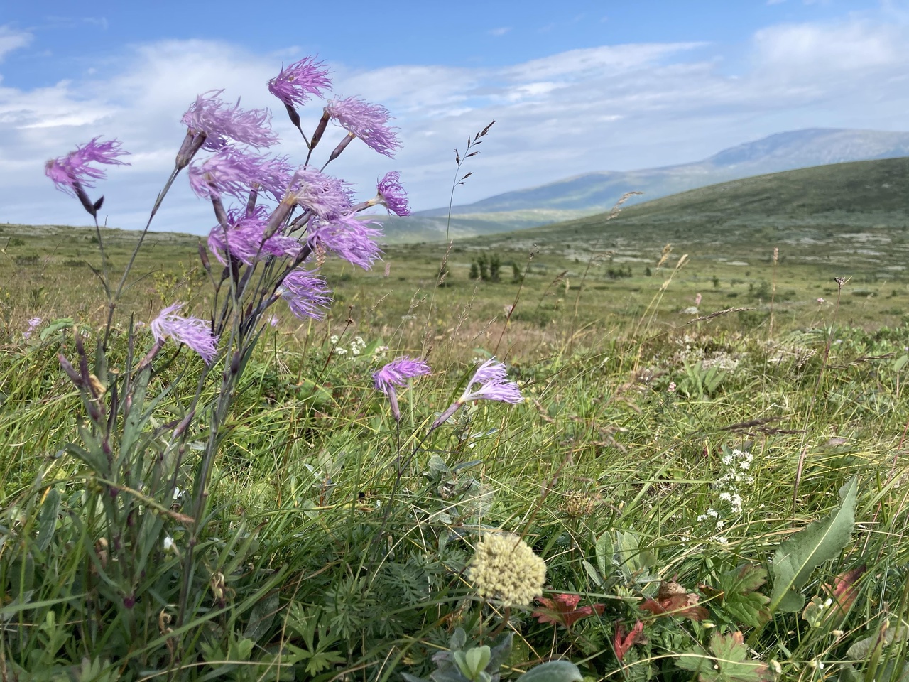 Маньпупунер и перевал Дятлова: поход с вертолетом (7/48)