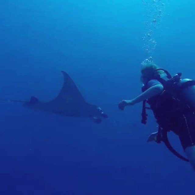 Фитнес  зумба тур на Мальдивы! Всё включено! Полный пансион! (3/22)