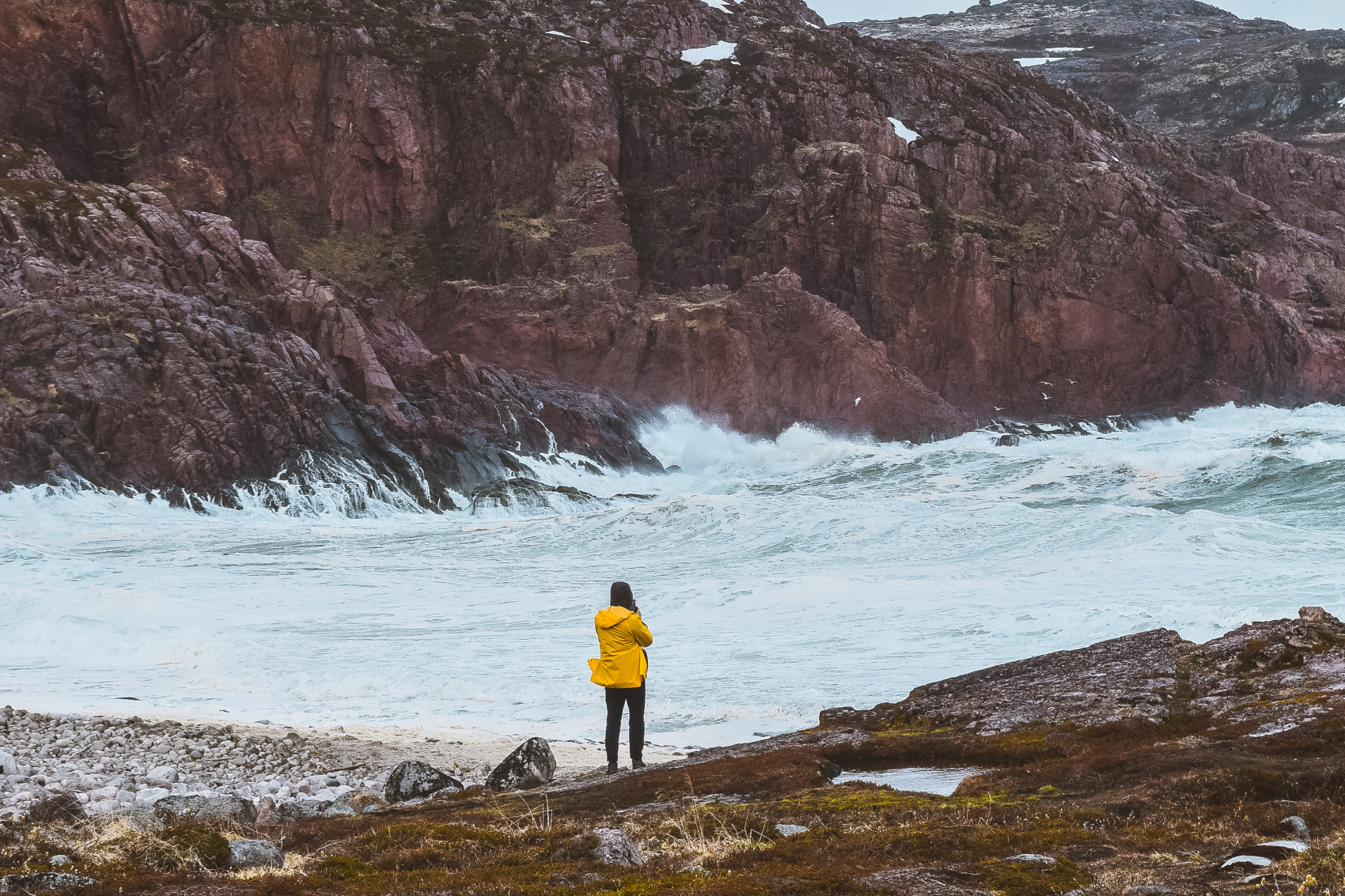 Териберка: киты на Баренцевом море (12/42)