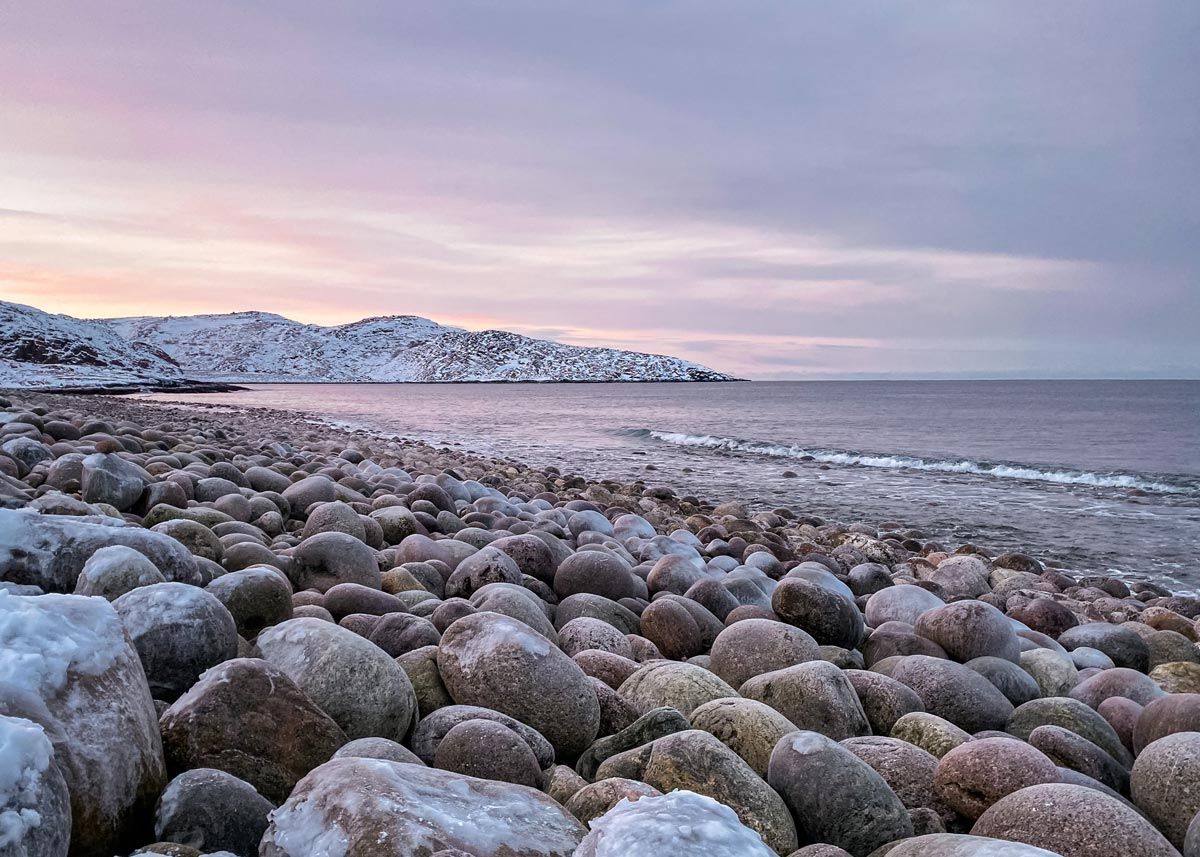 Териберка: киты на Баренцевом море (2/42)