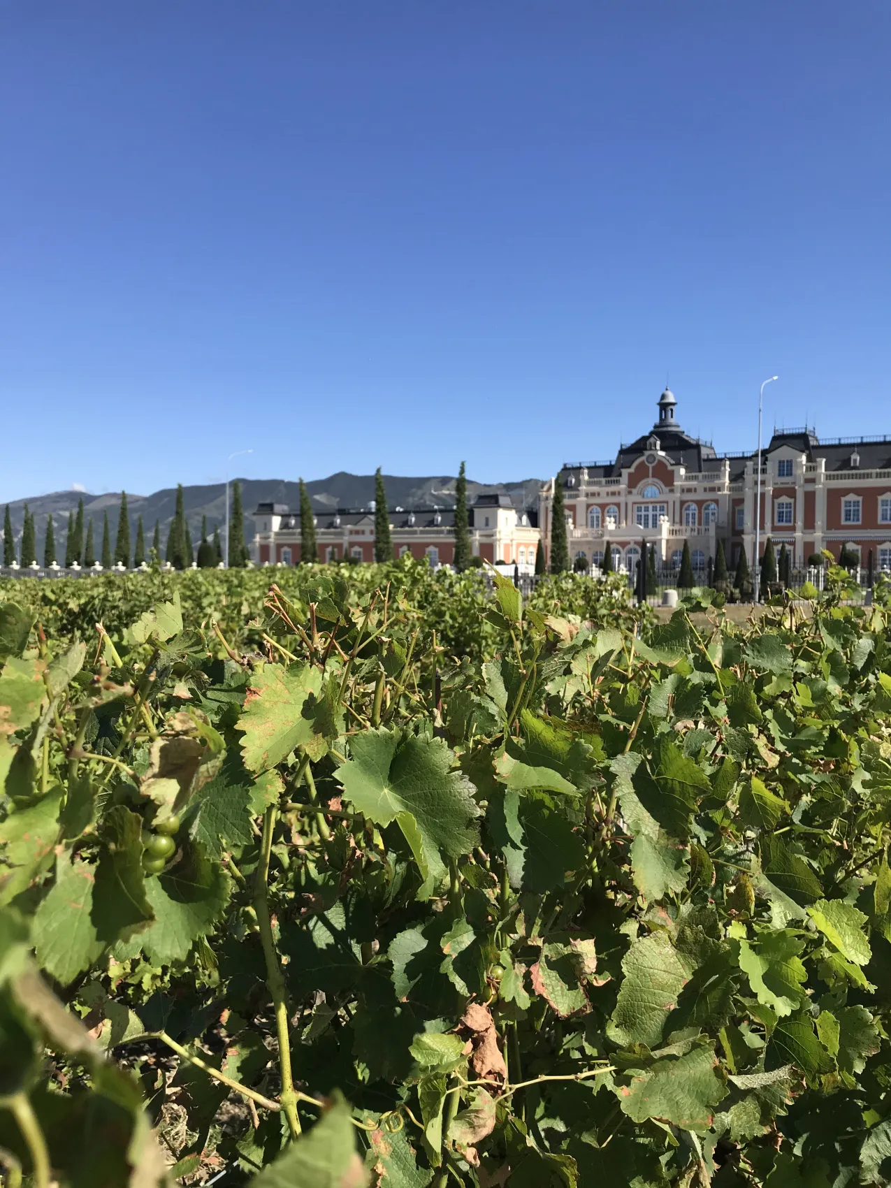 Город мечты - выходные в Геленджике (24/51)