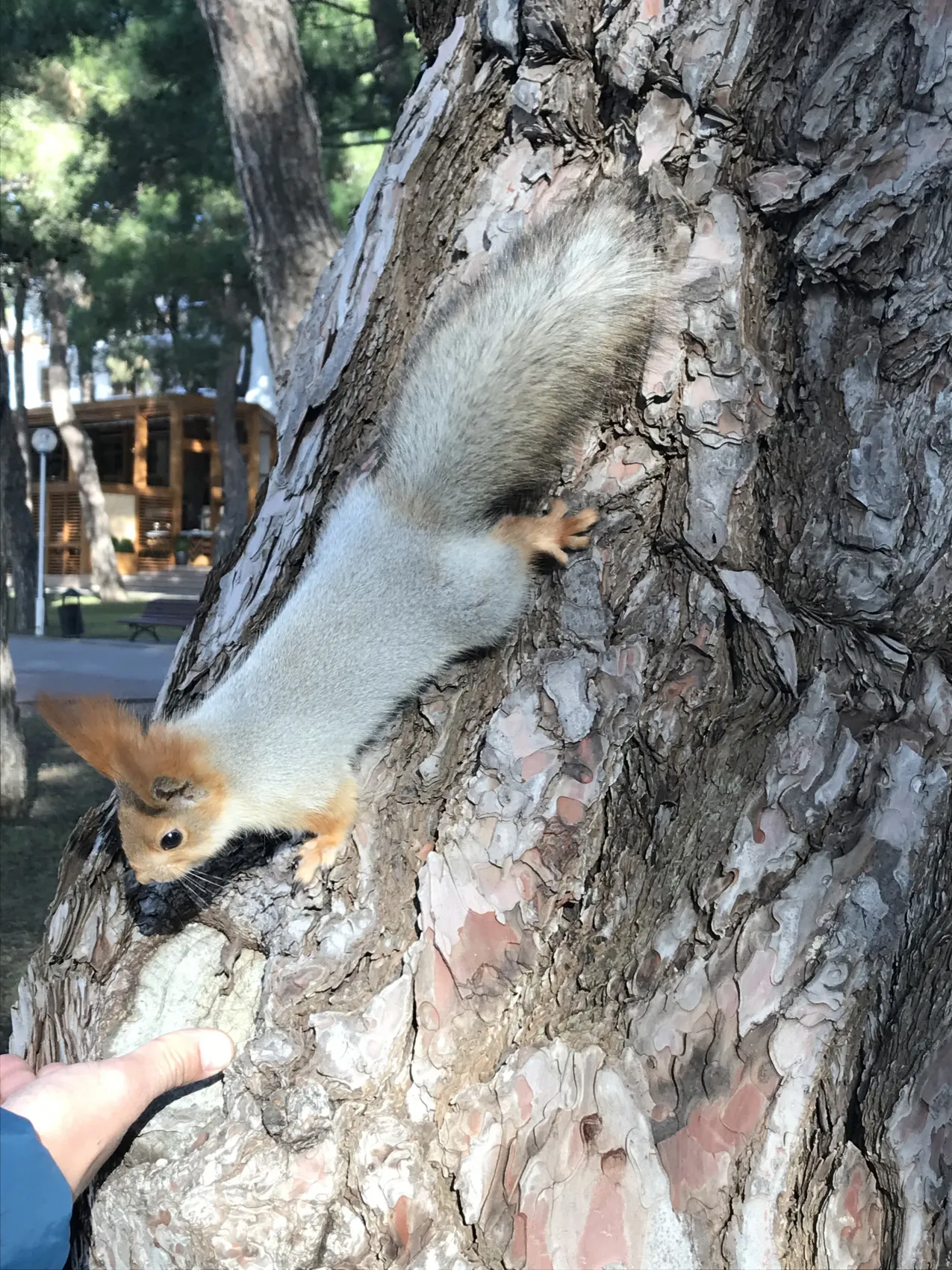 Город мечты - выходные в Геленджике (18/51)