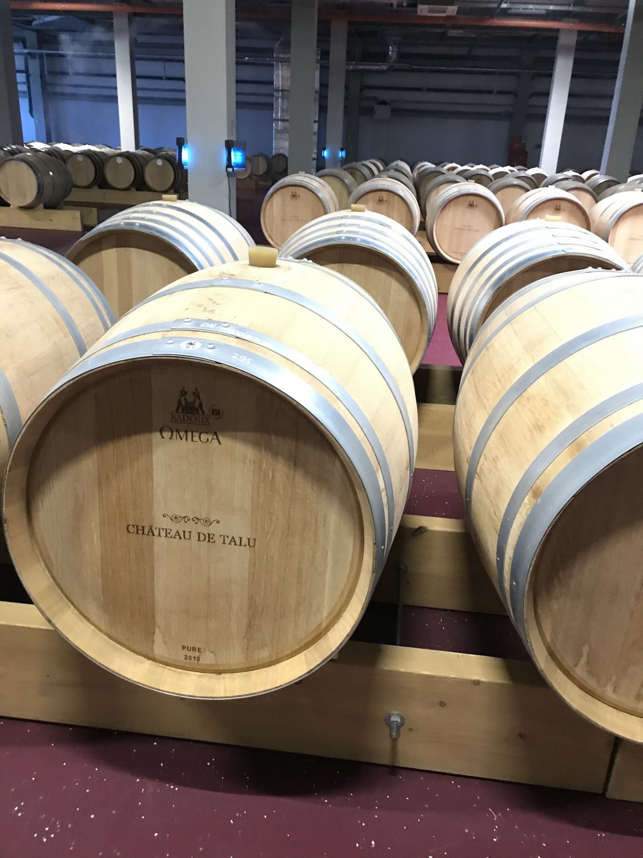 Город мечты - выходные в Геленджике (27/51)