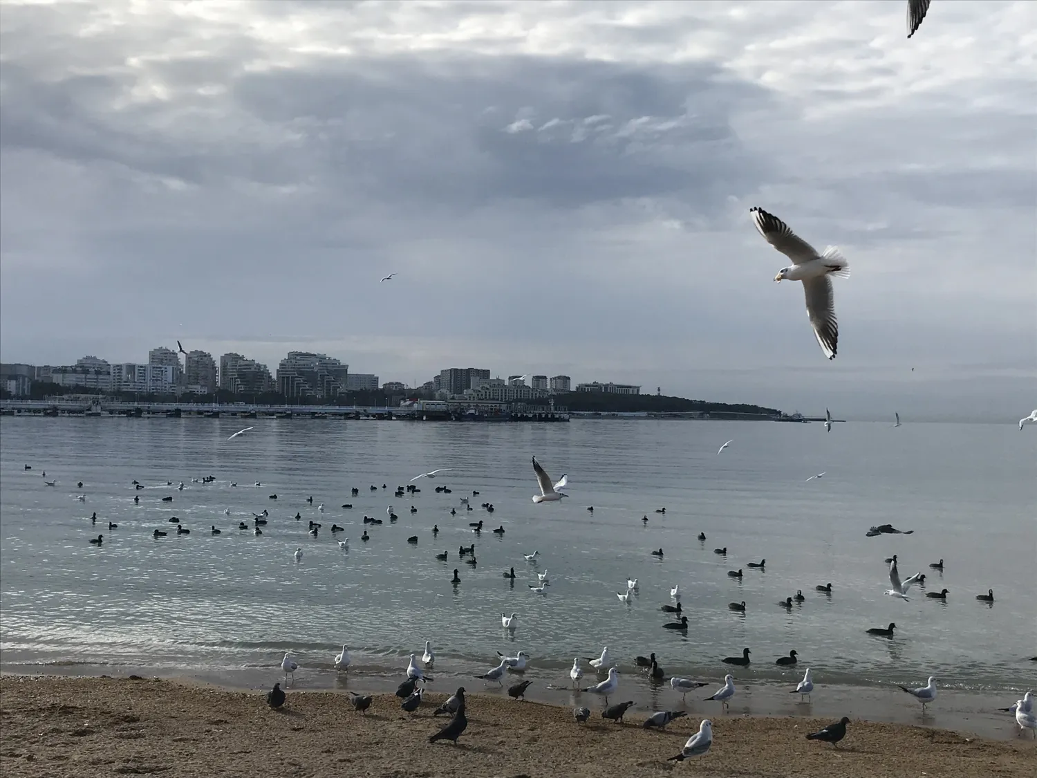 Город мечты - выходные в Геленджике (20/51)